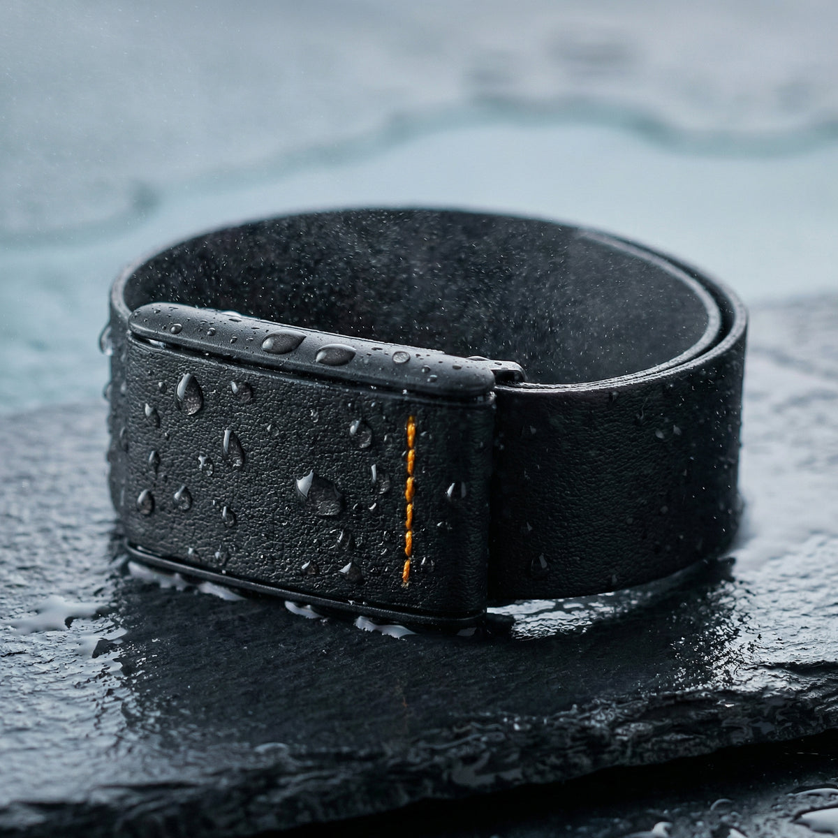 Ecoband 5.0