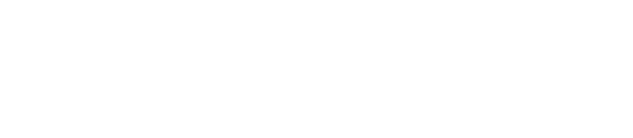 Rocker Duck
